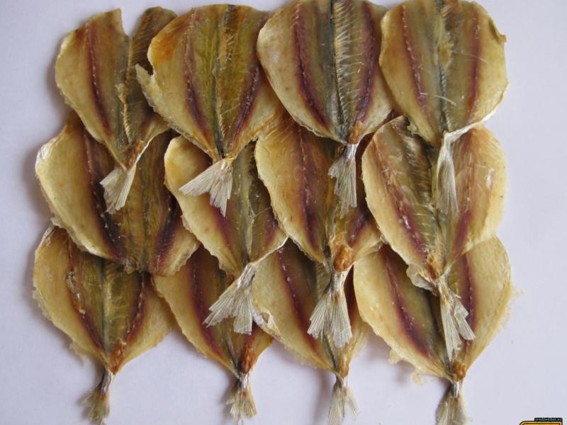 Рыба желтый полосатик фото