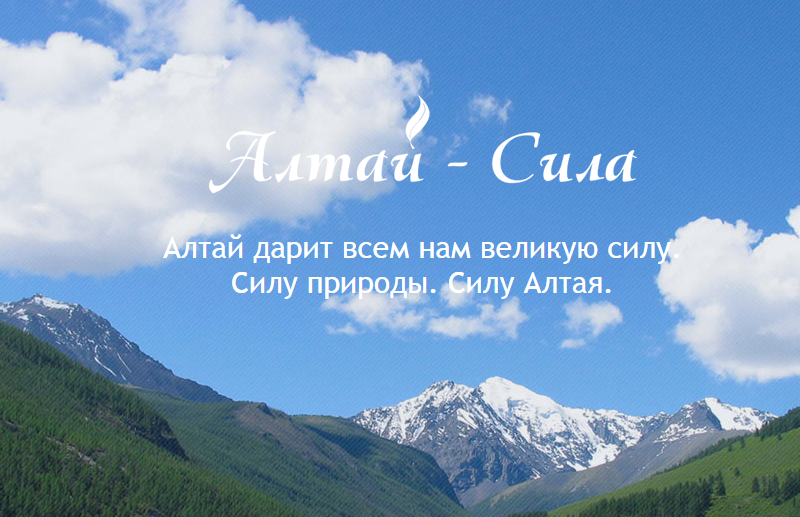 Алтай надпись. Красивые цитаты про горный Алтай. Горный Алтай надпись. Природные силы Алтая.