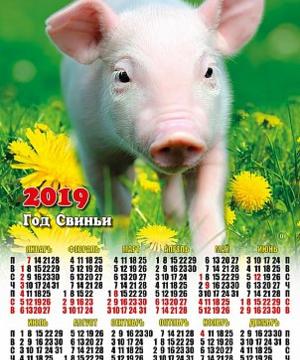 medium-Календарь 2019г А2 Одуванчик