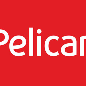 medium-ТМ Pelican